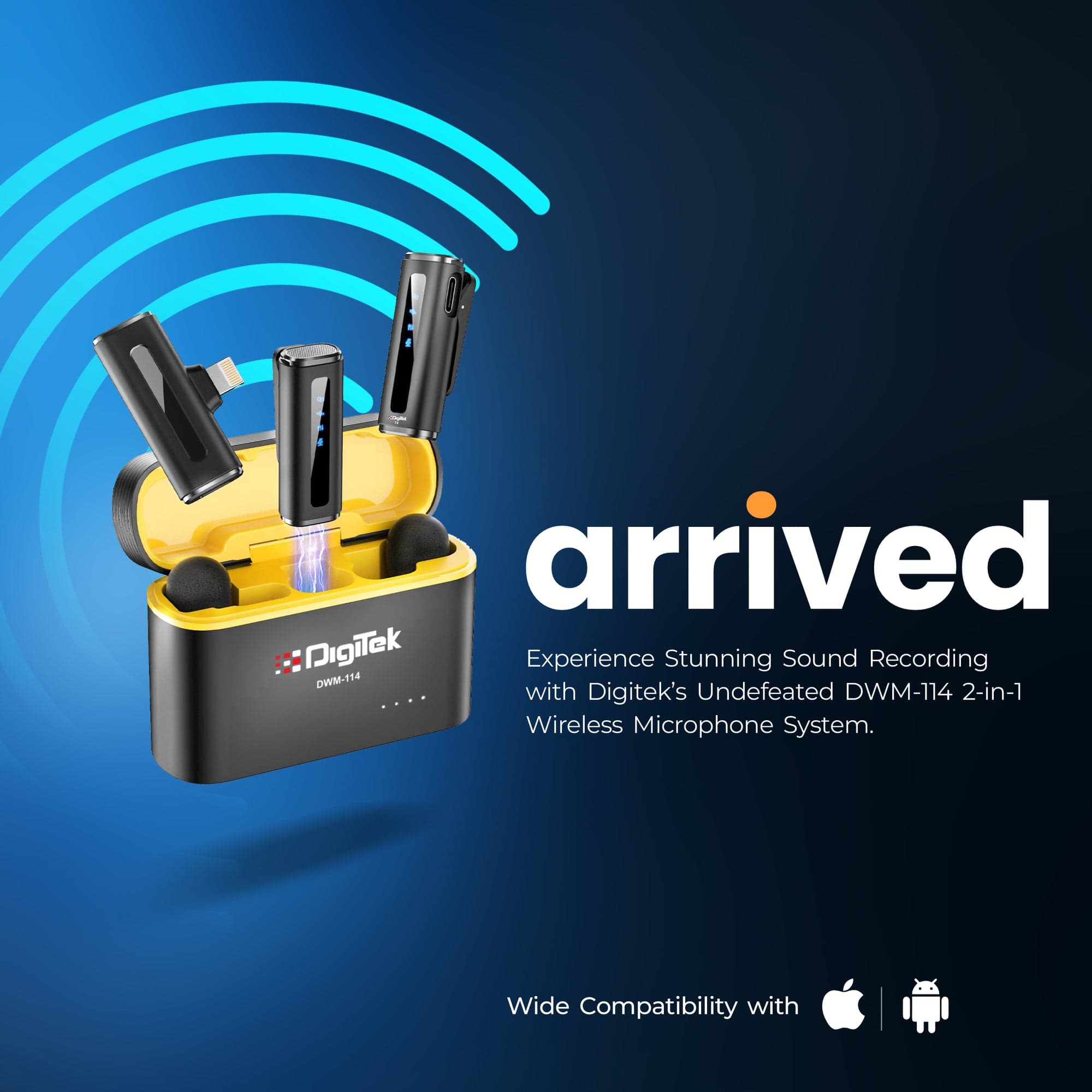 Digitek DWM 114 Mic