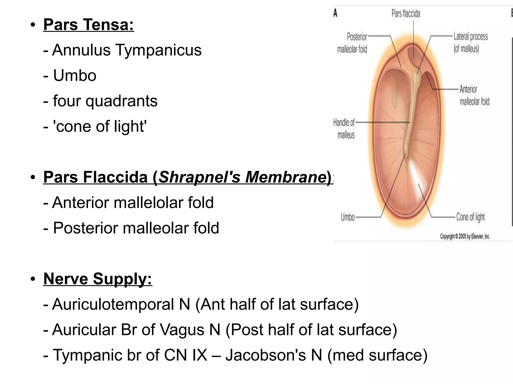 Fold Middle Membrane